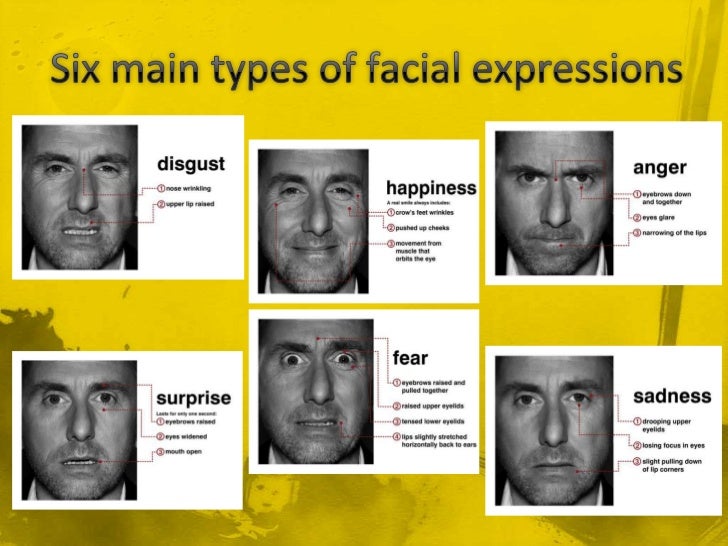 facial nonverbal communication Facial nonverbal communication